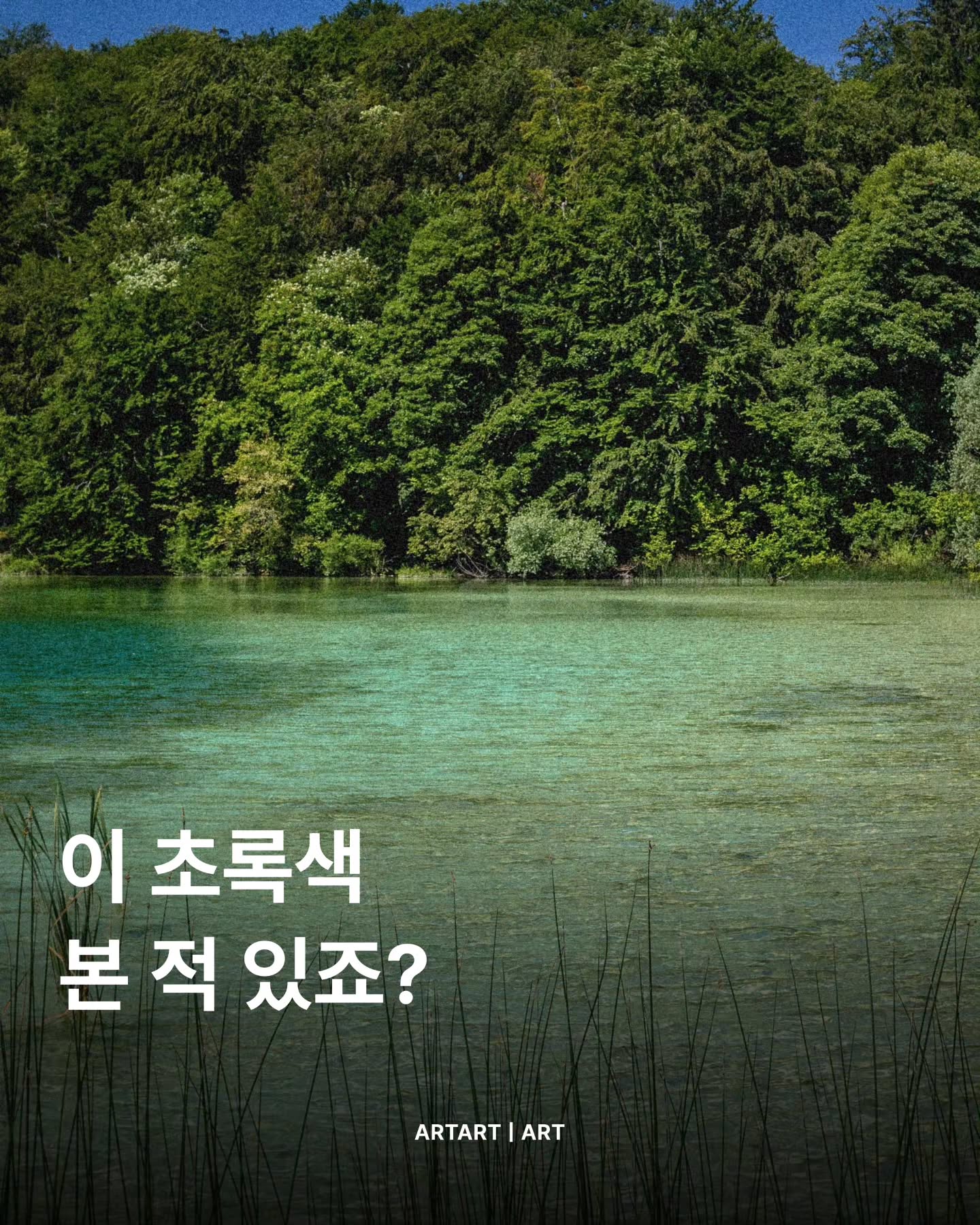 🎨 예술가들이 유독 사랑하는 초록색이 있다는 거, 알고 계셨나요?